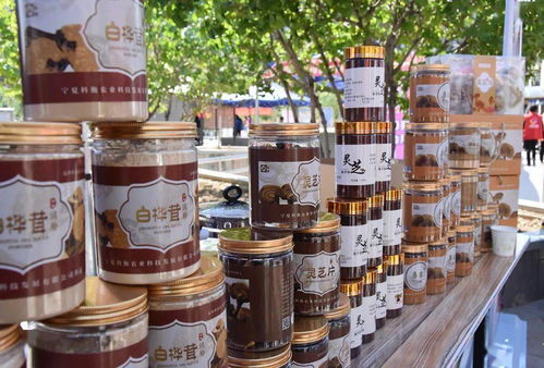 巾幗展風(fēng)采，服務(wù)暖人心——銀川市巾幗家政服務(wù)暨巾幗助力扶貧展示進社區(qū)活動正式啟動