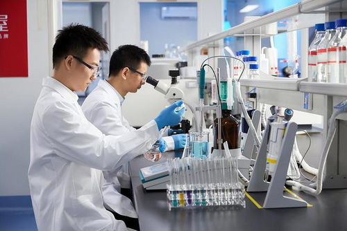 共同富裕視角下技術(shù)人才薪酬機(jī)制的社會(huì)主義思考